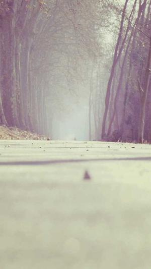 黑料正能量最新地址截图1