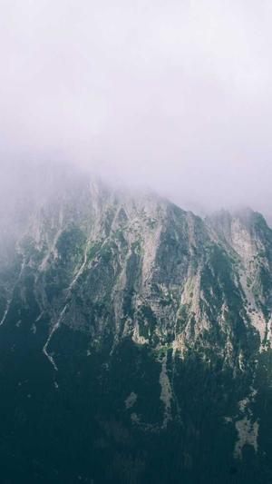 黑料网最新截图2