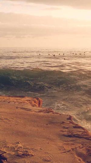 51吃瓜张津瑜截图1