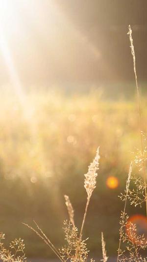 黑料进不去截图4