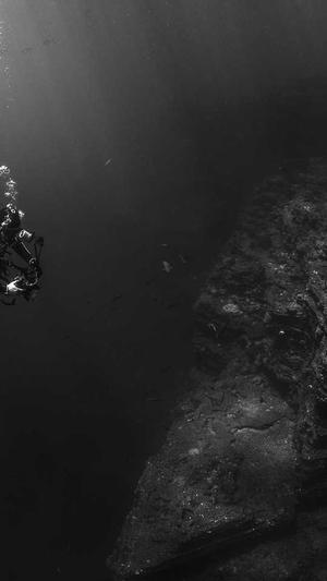 黑料网在线截图2