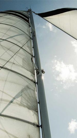 屈楚萧 黑料截图4