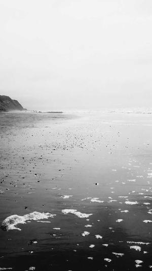 豆芽vlog黑料截图1