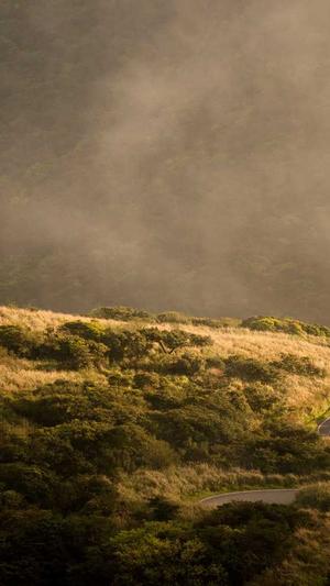 娱乐圈吃瓜合集pdf截图1