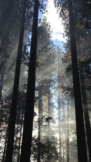 章子怡黑料截图1