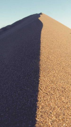 吃瓜观众的出处截图3