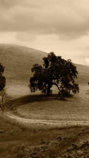 万里长征黑料不打烊首页截图1