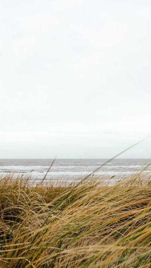 黑料正能量最新截图1