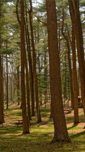 cvv黑料出料站提卡方法截图3