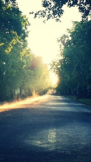 关于吃瓜群众故事作文截图4