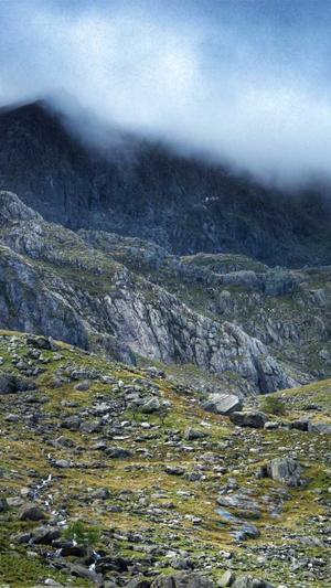 佛手瓜怎么吃最好截图3