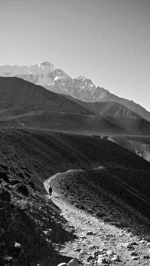 上火可以吃哈密瓜吗截图1