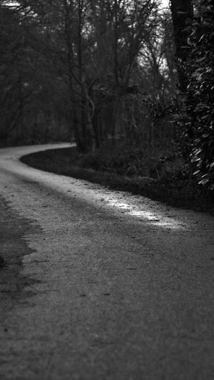 孕妇可以吃羊角蜜瓜截图3