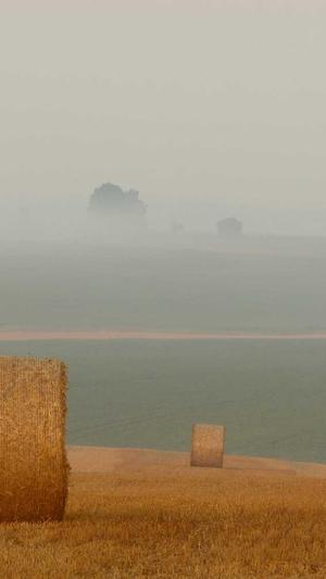 减肥吃土瓜会胖吗截图5