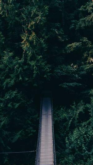 黑料不打烊app截图2