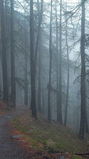 桃桃视频吃瓜截图1