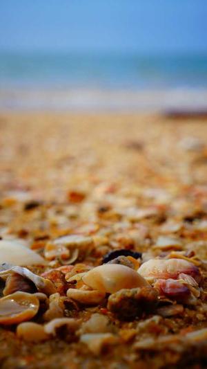 我在年代文里吃瓜截图3