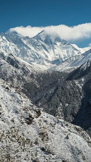 做人流可以吃瓜吗截图1
