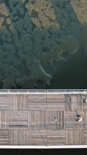 冲哥黑料每日一冲截图1