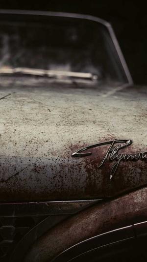 哈密瓜什么时候吃截图3