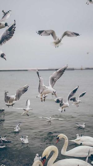 黑料不打烊tttzzzso导航截图1