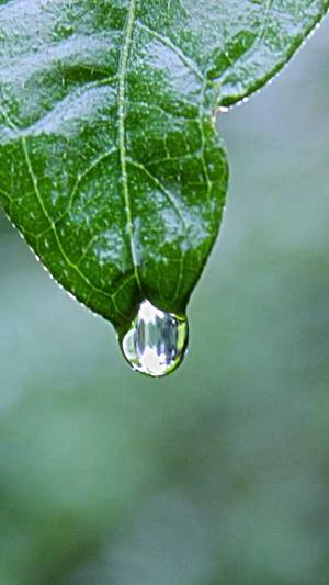 51cg吃瓜今日吃瓜截图4