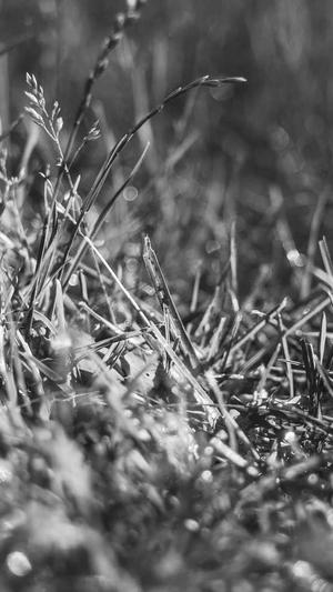 孕妇可以吃羊角蜜瓜截图1