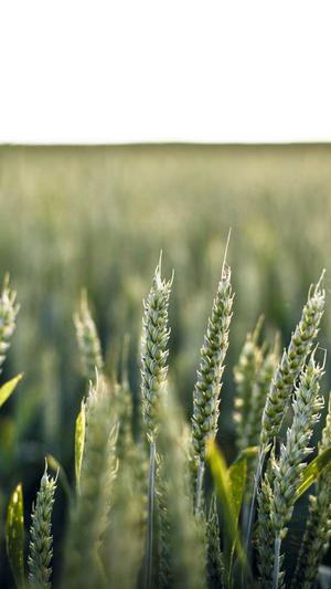 黑料不打烊正能量截图3