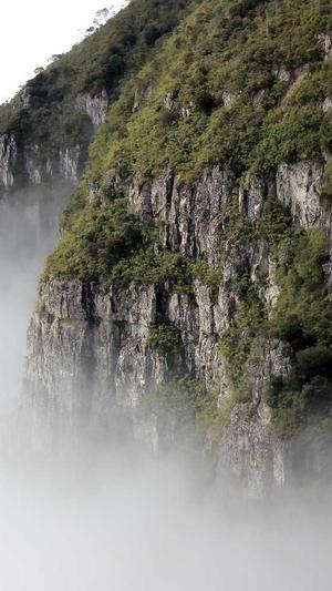 黑料不打烊被禁了截图1