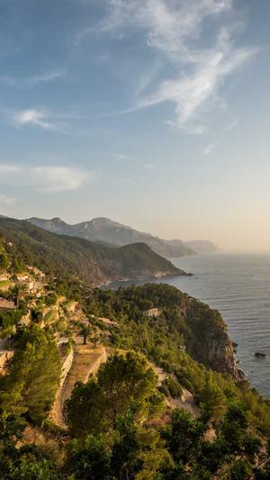 白瓜孕妇可以吃吗截图1