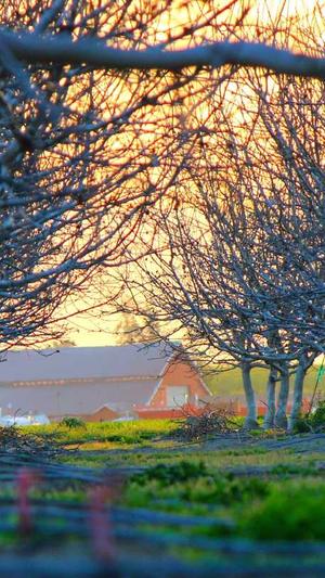 痞幼视频黑料照片黑料截图4