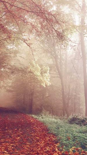 吃瓜视频网站大全截图3