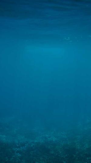 黑料正能量hl截图4