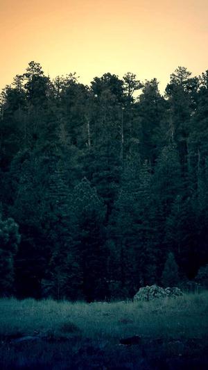 爆料911吃瓜网截图4