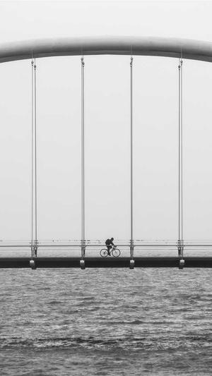 吃瓜的松鼠小说大全截图1