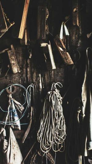 51吃瓜网-免费吃瓜官网截图3