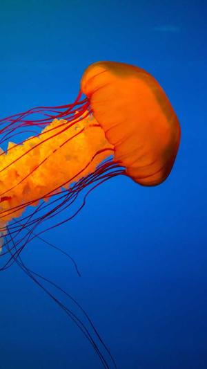 偶像练习生黑料截图3