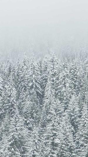 陈乔恩黑料截图4