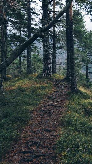 屈楚萧黑料是什么意思截图5