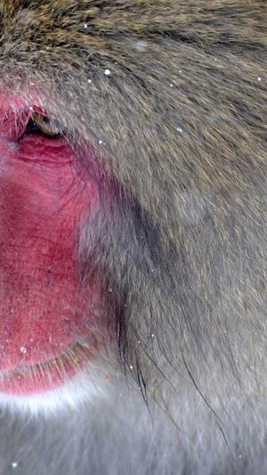 娱乐八卦一定是吃瓜的截图3