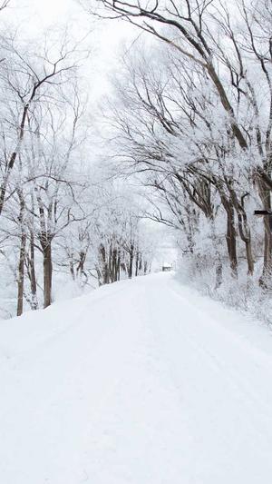 51吃瓜网最新网址截图5