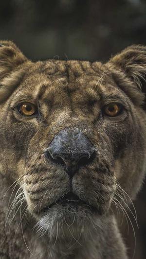 呆妹黑料视频截图2