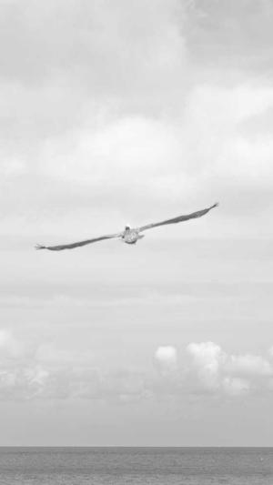 吃瓜黑料网站截图2