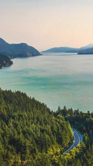 佛手瓜要削皮吃吗截图4