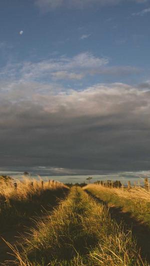 孕妇可以吃哈密瓜么截图2