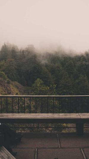 吃哈密瓜上火吗截图2