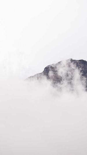 黑料网站在哪儿截图4