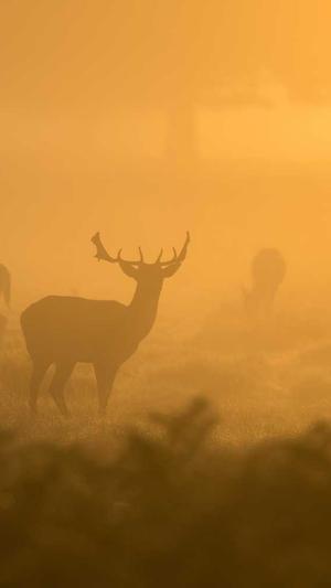 宋亚轩黑料截图1