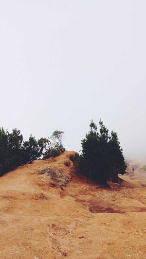 黑料正能量hl截图2