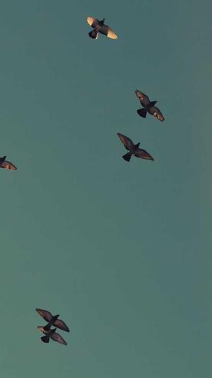 免费吃瓜网截图2